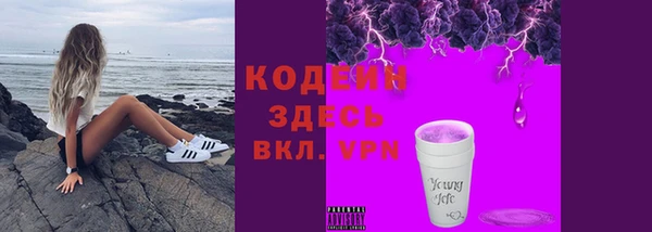 шишки Каменногорск
