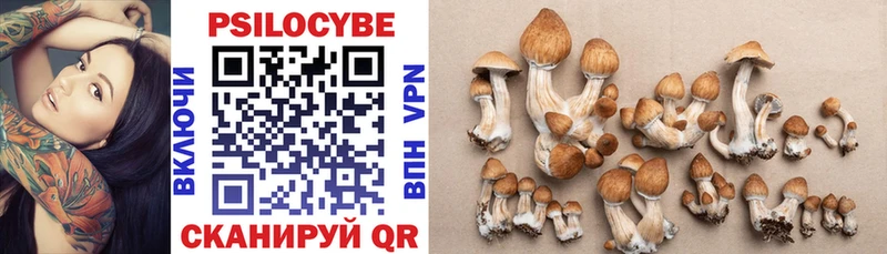 мега сайт  продажа наркотиков  Ковдор  Галлюциногенные грибы MAGIC MUSHROOMS 